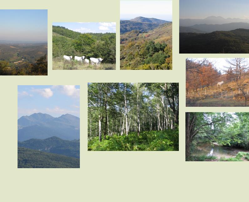 surroundings2